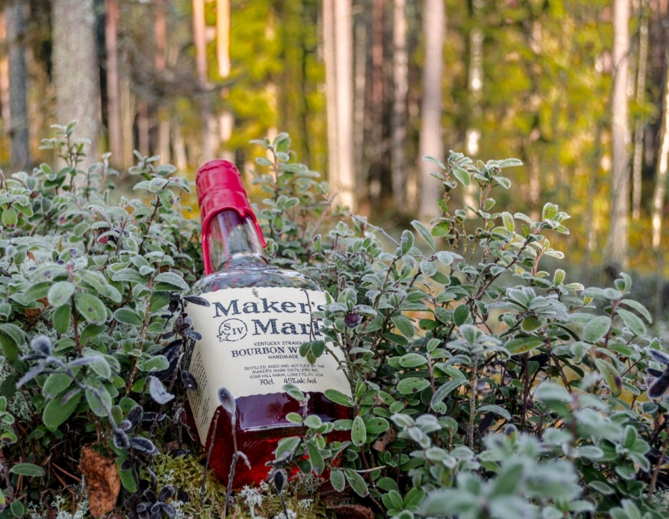 树林背景前草丛中的威士忌酒