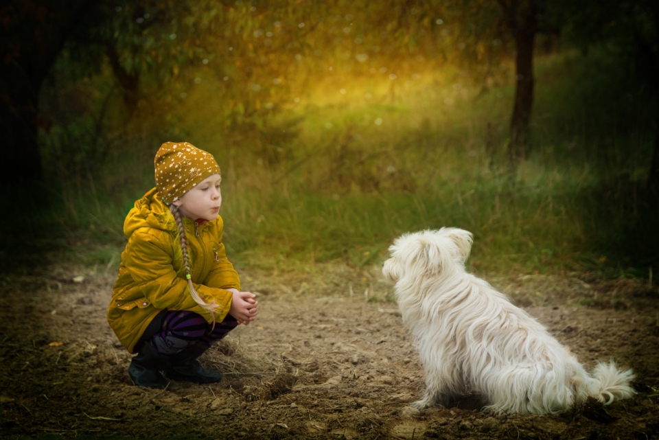 树林草地前在和宠物狗玩耍的小女孩