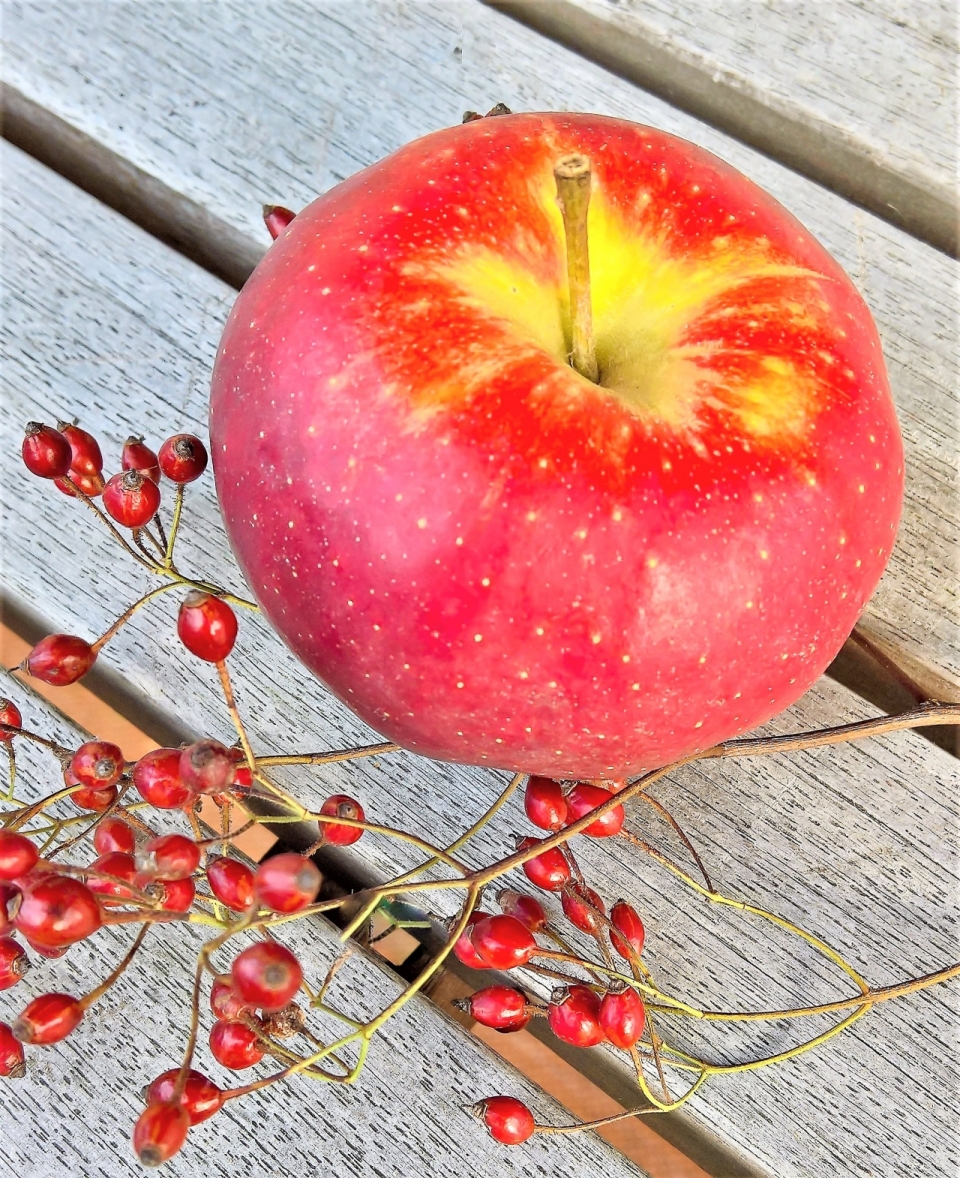木质桌面上红色苹果水果摄影