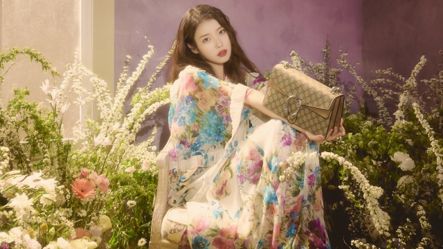 李知恩唯美高清壁纸