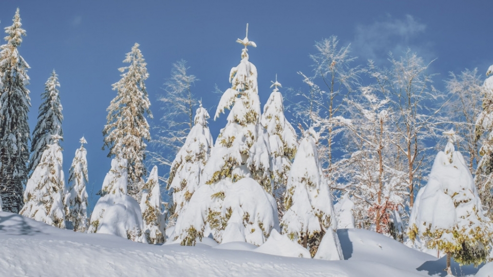 白雪风景自然风光优美夏日清凉高清桌面壁纸