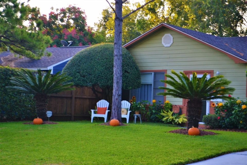 美国房屋住宅的花园草地摄影