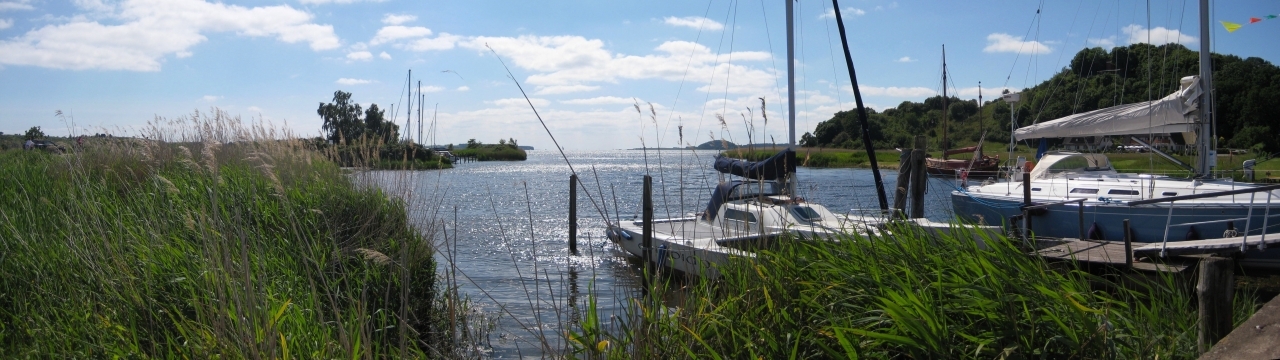 蓝天白云湖泊芦苇荡旁停着快艇