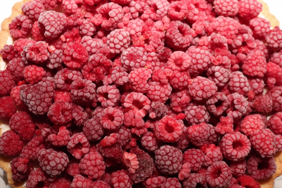 成堆的鲜花树莓水果美食摄影