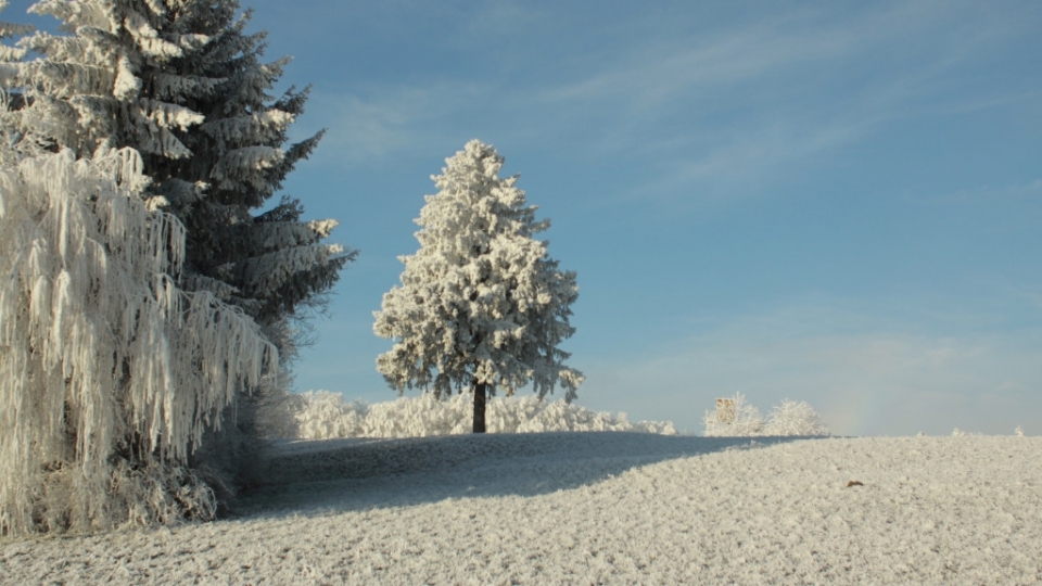 白雪风景自然风光优美夏日清凉高清桌面壁纸