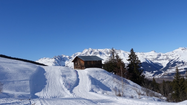 唯美冬天雪景高清桌面壁纸