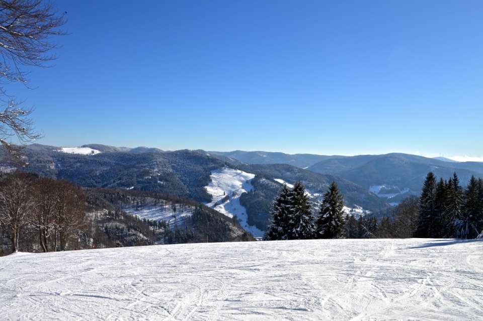 光滑雪坡下茂密丛林河流风景