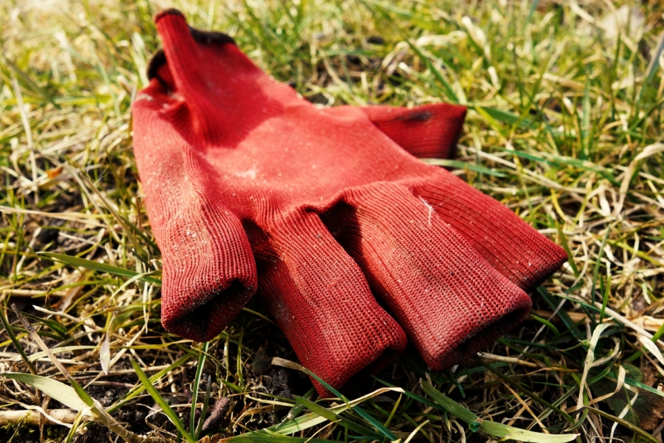 午后自然草坪上红色五指手套