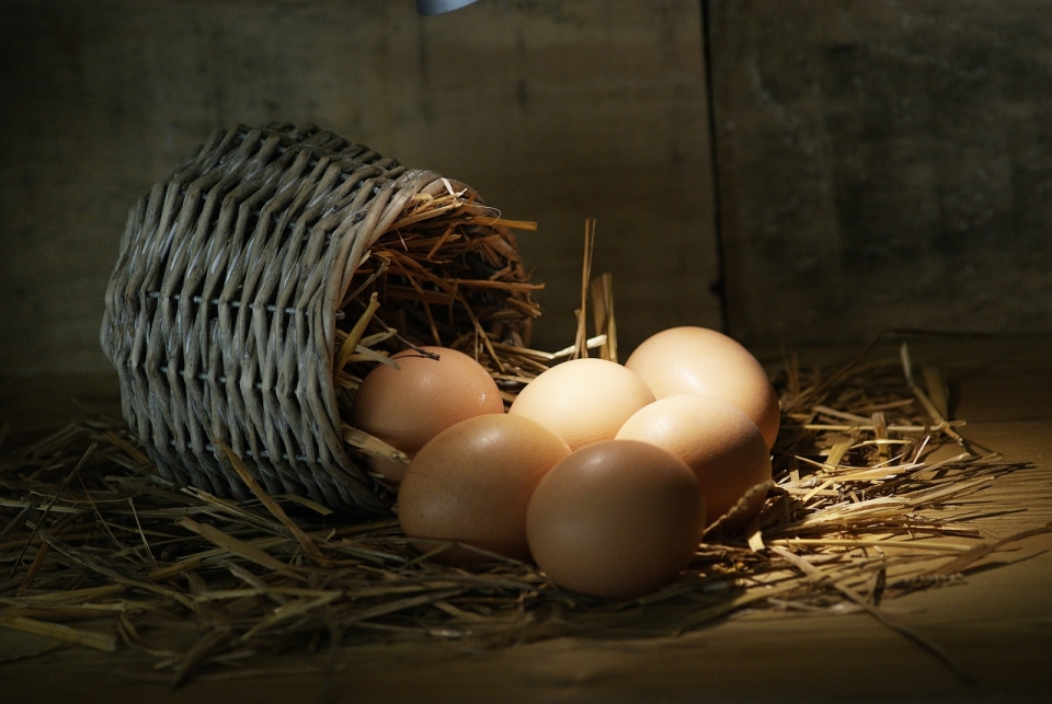 室内地面竹制篮子前新鲜美味鸡蛋