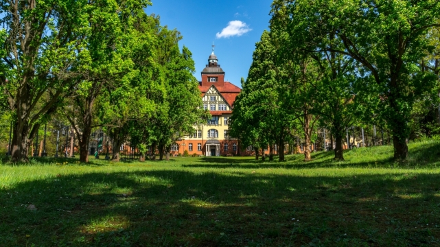碧绿树林草地搭建房屋建筑外观景色