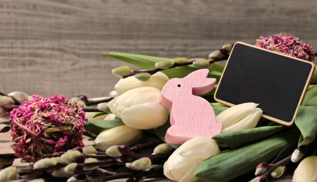 木制桌面黑板兔子模型白色郁金香