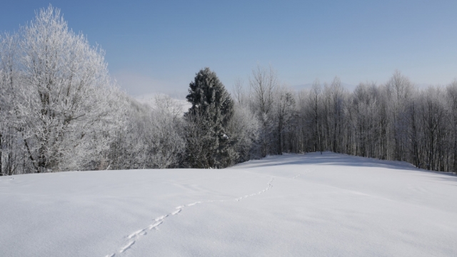 乌克兰喀尔巴阡山风景无水印电脑桌面高清壁纸图片
