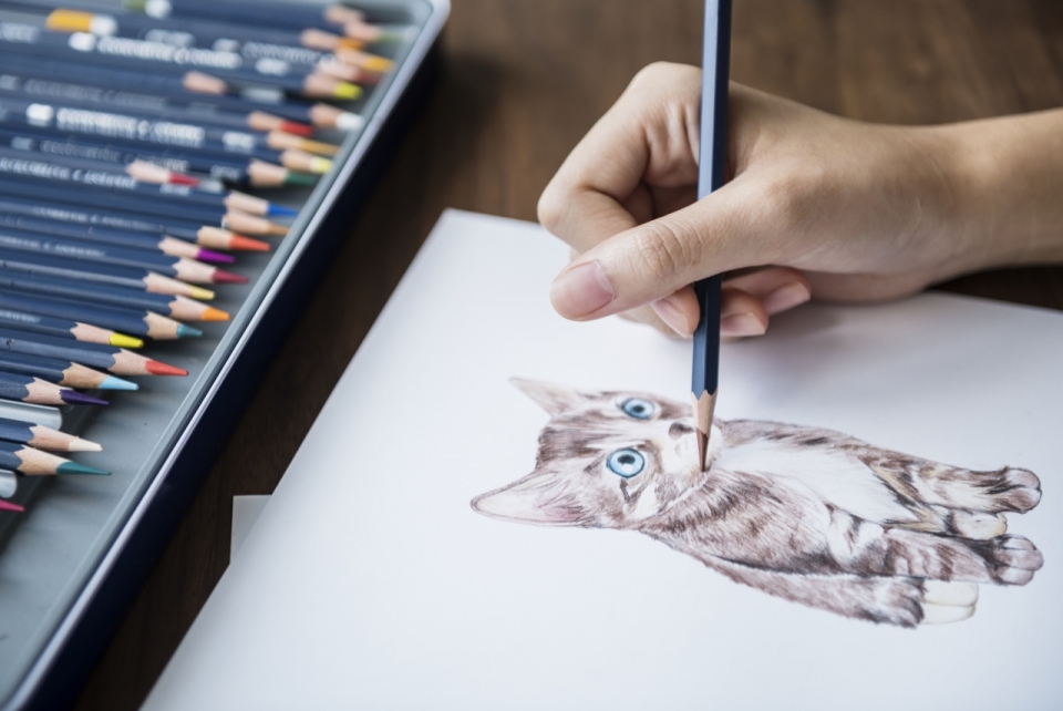 木制桌面白纸彩色铅笔艺术绘画猫