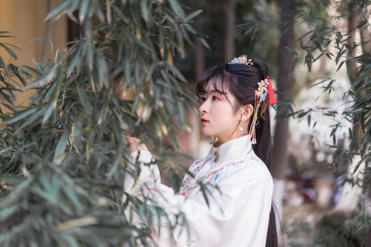 古风竹林汉服美女