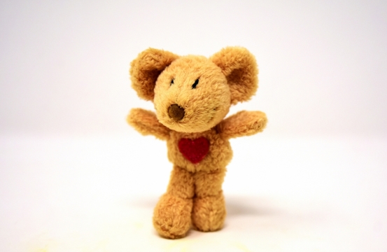 白色背景棕色熊毛绒玩具