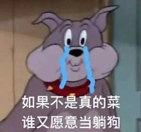 搞笑幽默无水印表情包图片