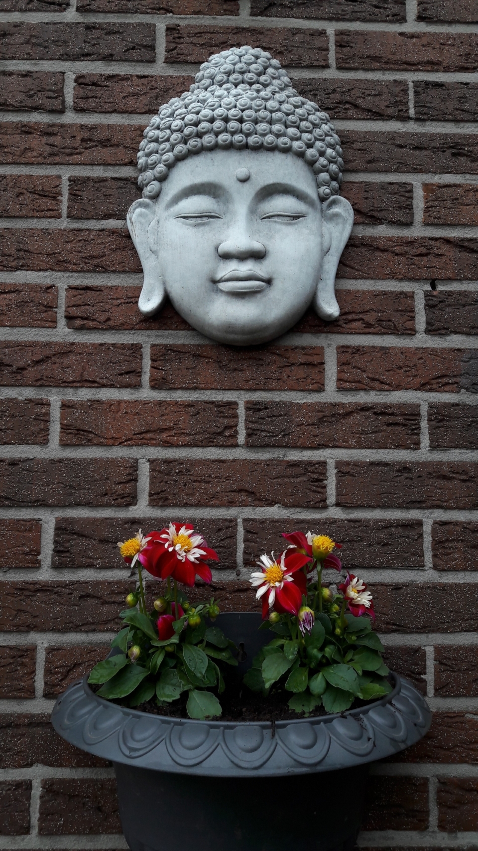 红色砖墙前的石头佛像头和红色鲜花