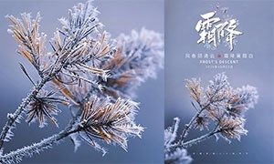 二十四节气霜降图片