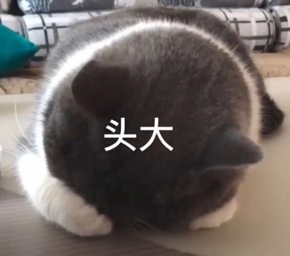 最新表情包图片