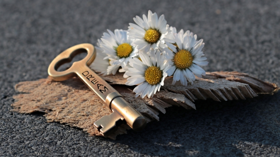 地面树皮上金属钥匙装饰白色花朵雏菊