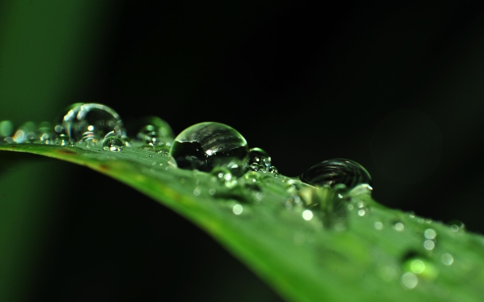 唯美清新护眼谷雨高清桌面壁纸