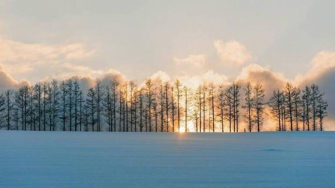 北海道的雪自然风景图片