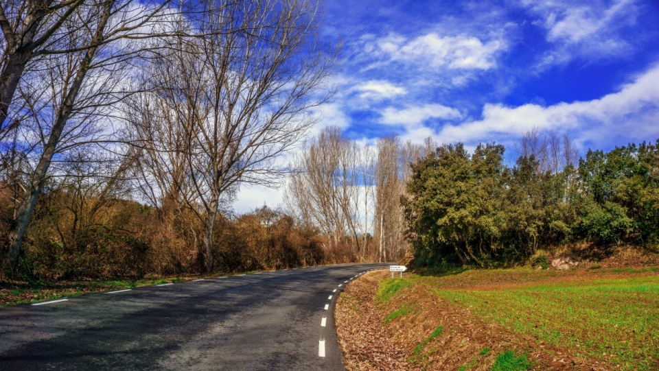 林间公路四周自然植物风景美拍