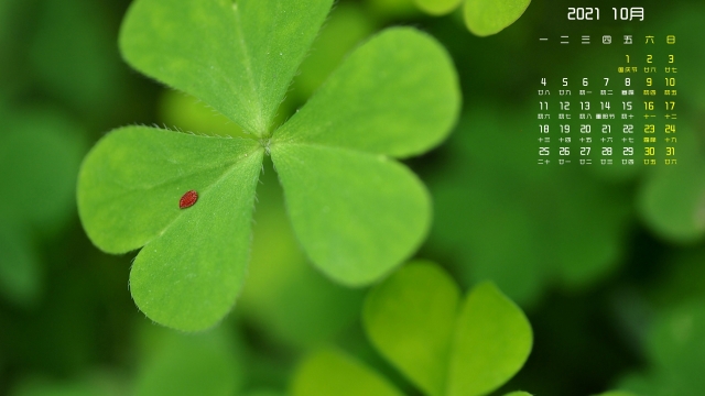 2021年10月清新绿色护眼高清日历壁纸