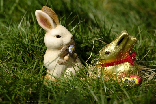 户外自然绿色草坪可爱兔子造型玩具