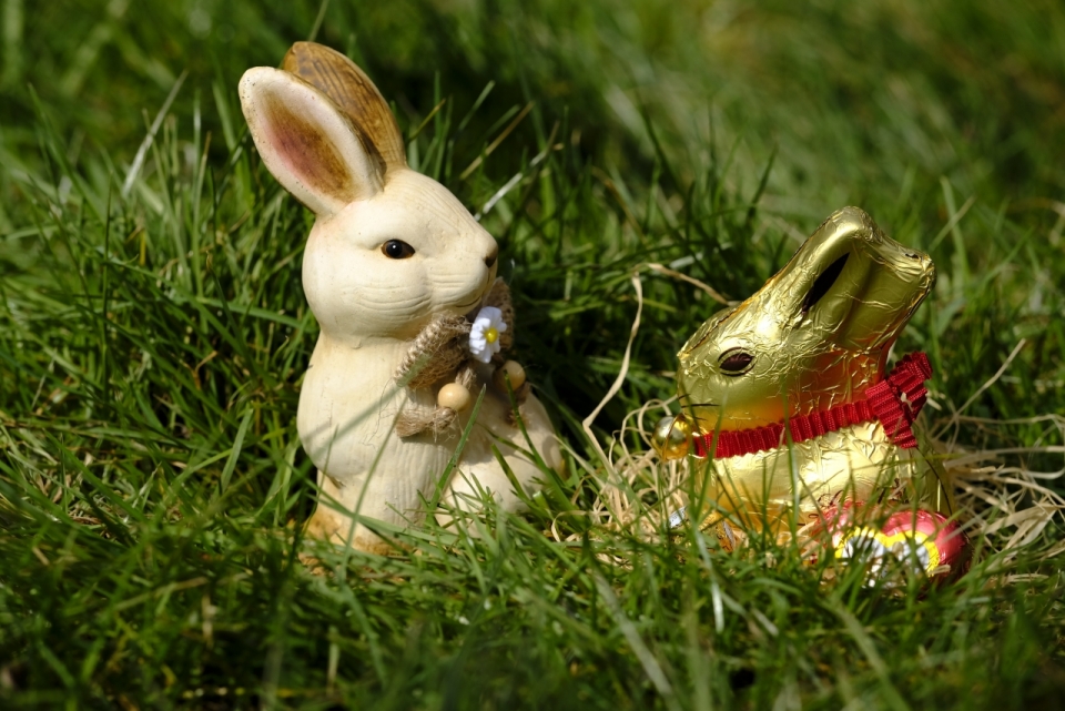 户外自然绿色草坪可爱兔子造型玩具